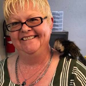 Meet your Posher, Vernie